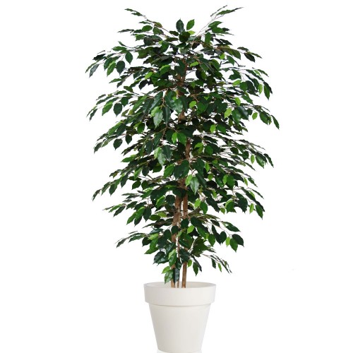 Planta semi-artificiala Ila, Ficus Exotica Almora Green - 180 cm